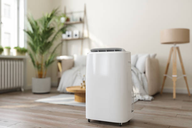 Best HVAC cleaning services  in Lake City, IA